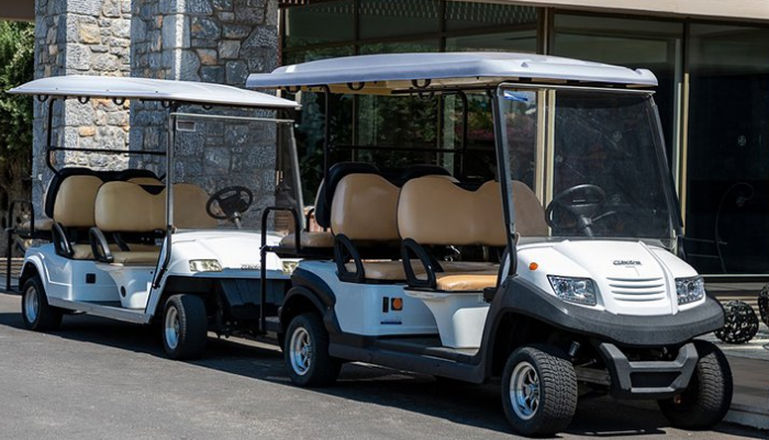 golf cart battery chargers