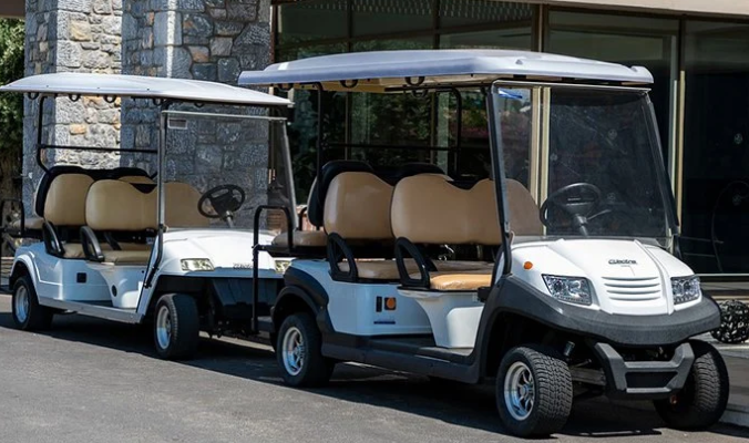 golf cart battery charger